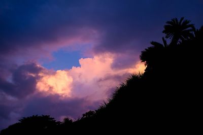 Low angle view of silhouette trees against sky