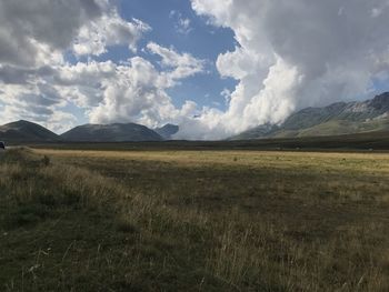 Scenic view of field against sky