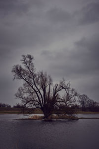 Bare trees on snow field against sky during winter