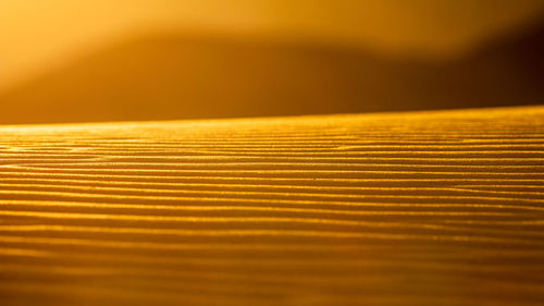 Macro shot of yellow wall