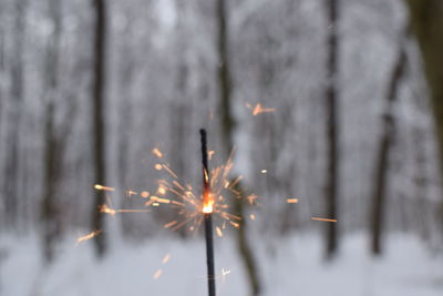 Firework display in snow