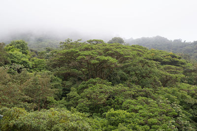 Scenic view of landscape