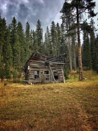 Wooden structure on field against trees in forest