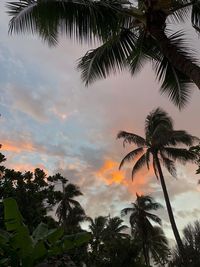 Low angle view of silhouette palm trees against sky