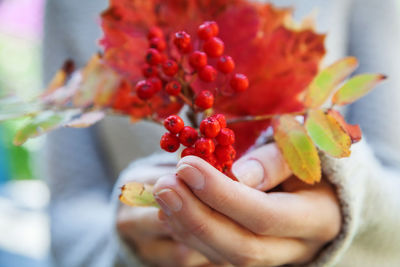 Cropped hand of woman holding red flower