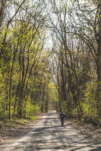 People walking on footpath