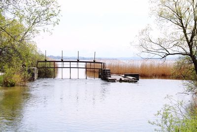 View of river with trees in background