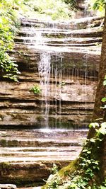 Scenic view of waterfall in forest