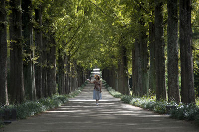 Rear view of woman walking on walkway amidst trees in forest