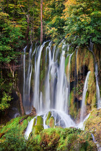 View of waterfall in forest