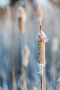 Close-up of wind outdoors