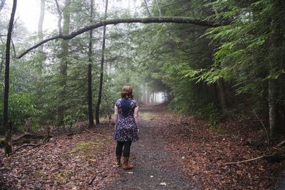 Rear view of boy walking in forest