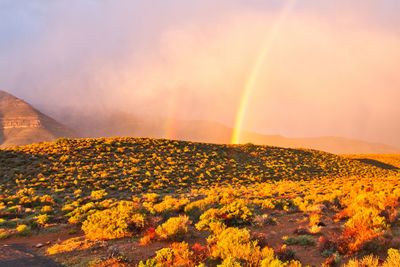 Scenic view of rainbow against sky during sunset