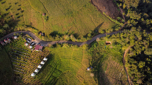 High angle view of agricultural field