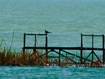 View of calm sea