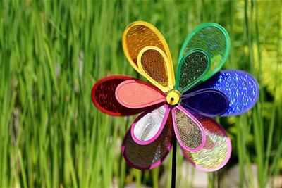 Close-up of colorful pinwheel toy against plants