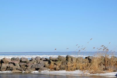 Scenic view of sea against clear blue sky