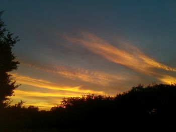 Low angle view of silhouette trees against sky at sunset