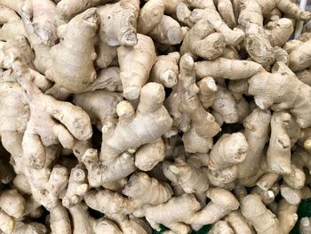 Full frame shot of onions