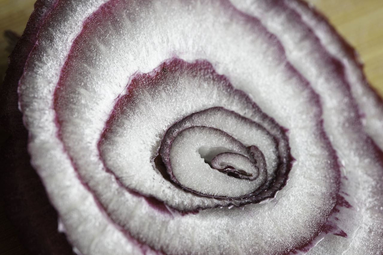 CLOSE-UP OF ROSE ON WHITE FLOWER