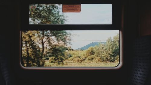 Close-up of trees seen through window
