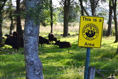 Information sign on tree trunk