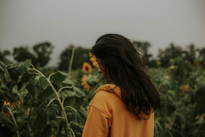 Rear view of young woman standing at sunflower farm
