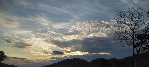 Low angle view of silhouette trees against sky at sunset