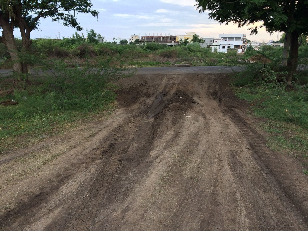 VIEW OF FOOTPATH IN FIELD