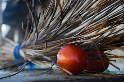 Close-up of strawberry
