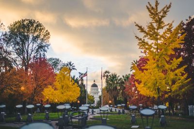 Trees at cemetery against sky during autumn