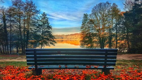 Empty bench in park during autumn