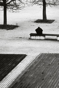 High angle view of snow on tree trunk during winter