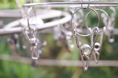 Close-up of plant hanging on metal fence