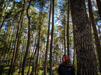 Low angle view of man standing amidst trees in forest