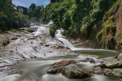 Scenic view of waterfall in forest