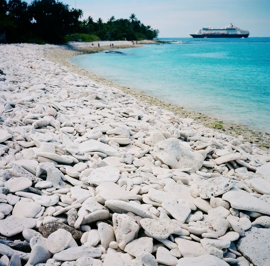 sea, water, beach, shore, tranquility, tranquil scene, horizon over water, scenics, beauty in nature, rock - object, nature, sand, stone - object, blue, coastline, sky, day, sunlight, outdoors, tree