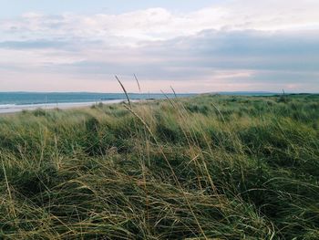 Scenic view of sea against cloudy sky