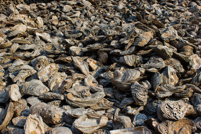 Full frame shot of rocks