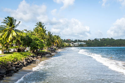 Scenic view of beach against sky