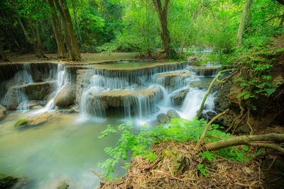 View of waterfall in forest