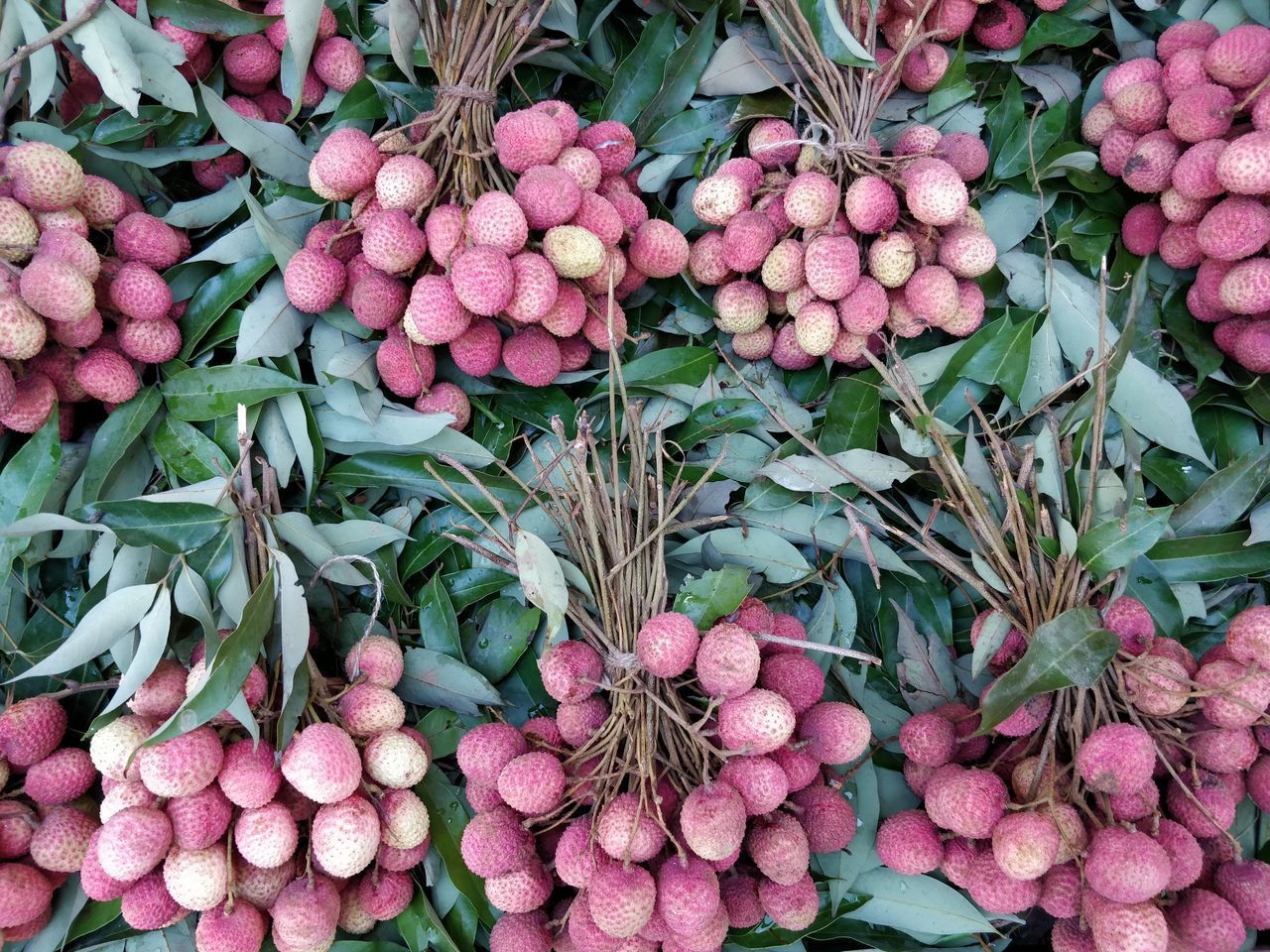 HIGH ANGLE VIEW OF VEGETABLES FOR SALE IN MARKET