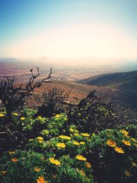 Scenic view of landscape against sky