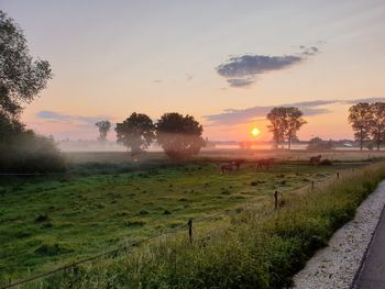 Scenic view of field against sky during sunset