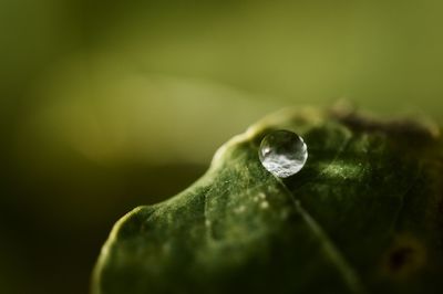 Close-up of water