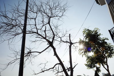Low angle view of silhouette bare trees against clear sky