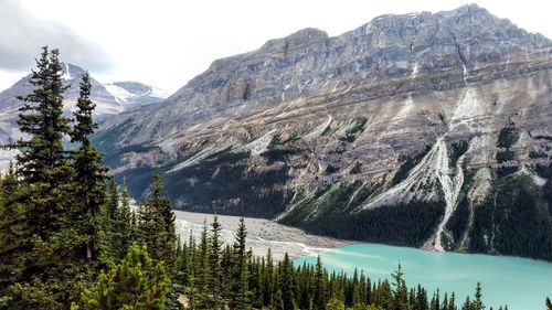 Scenic view of rocky mountains