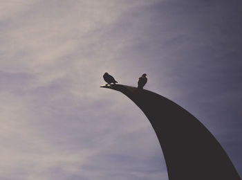 Low angle view of silhouette bird against sky