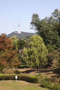 Trees by lighthouse against clear sky