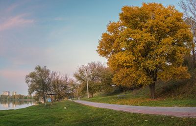 Trees growing in park against sky during autumn